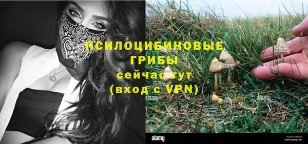 ECSTASY Дмитриев