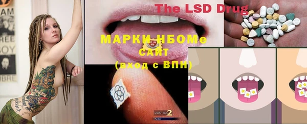 тгк Дмитровск
