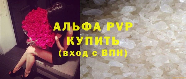 ECSTASY Дмитриев