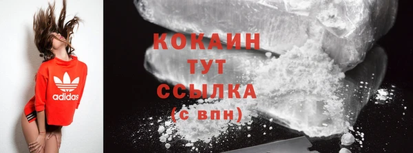 ECSTASY Дмитриев
