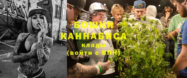 ECSTASY Дмитриев