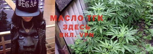 тгк Дмитровск