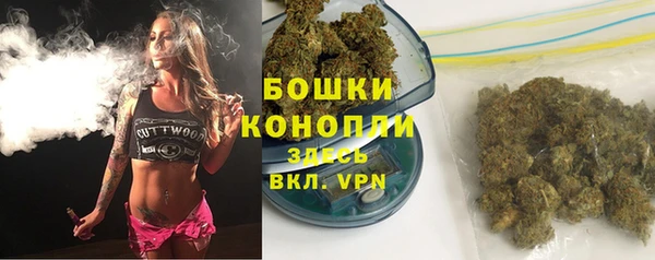 тгк Дмитровск