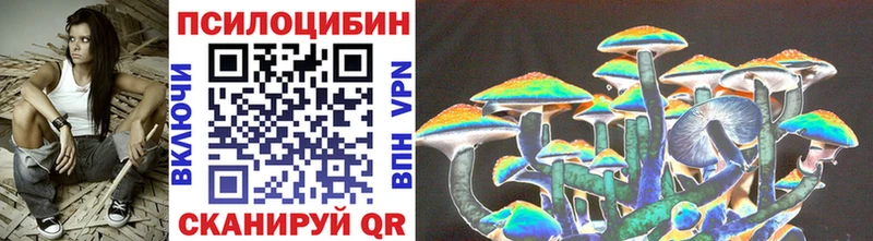 Купить где  Верхняя Пышма  Псилоцибиновые грибы Cubensis 