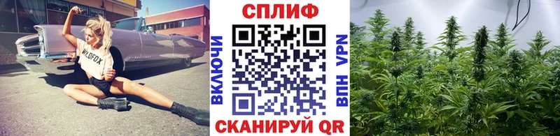 Купить где  Верхняя Пышма  Бошки Шишки White Widow 